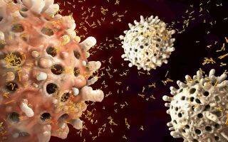 Почему повышены иммуноглобулины?