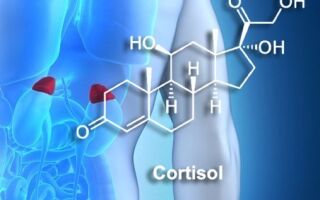 Гормон кортизол: что это такое?