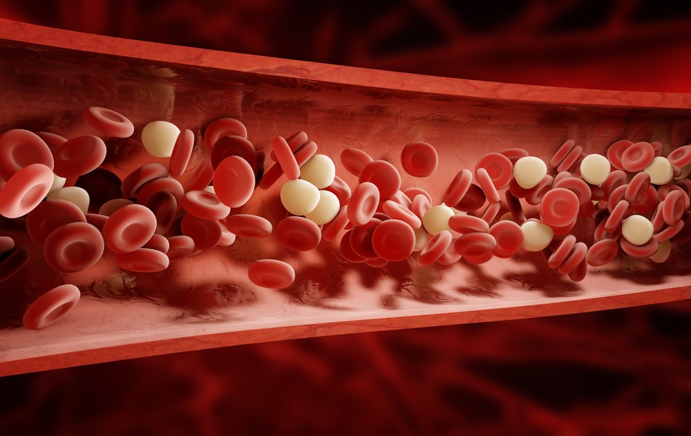 крупно клетки крови в сосудах