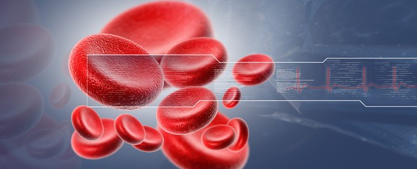 mcv в анализе крови: нормы и возможные причины отклонений